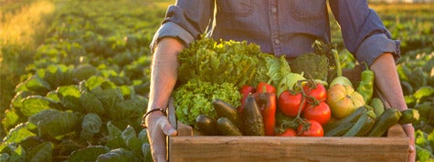 Man holding crate of fresh vegetables to sell