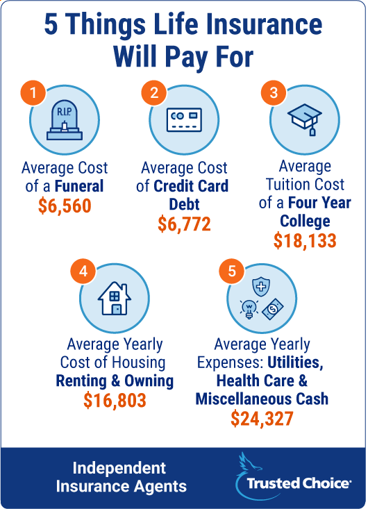 5 things life insurance will pay for.